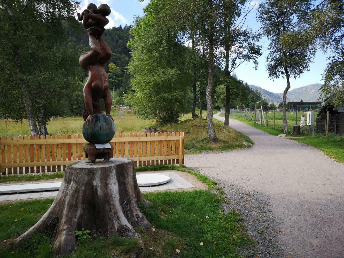 C4 Albmatte-Fewo Sauna, Hallenbad Aussenbecken Massagen Nebenan Menzenschwand Exterior foto